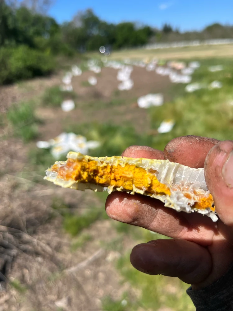 Image uploaded by Chris