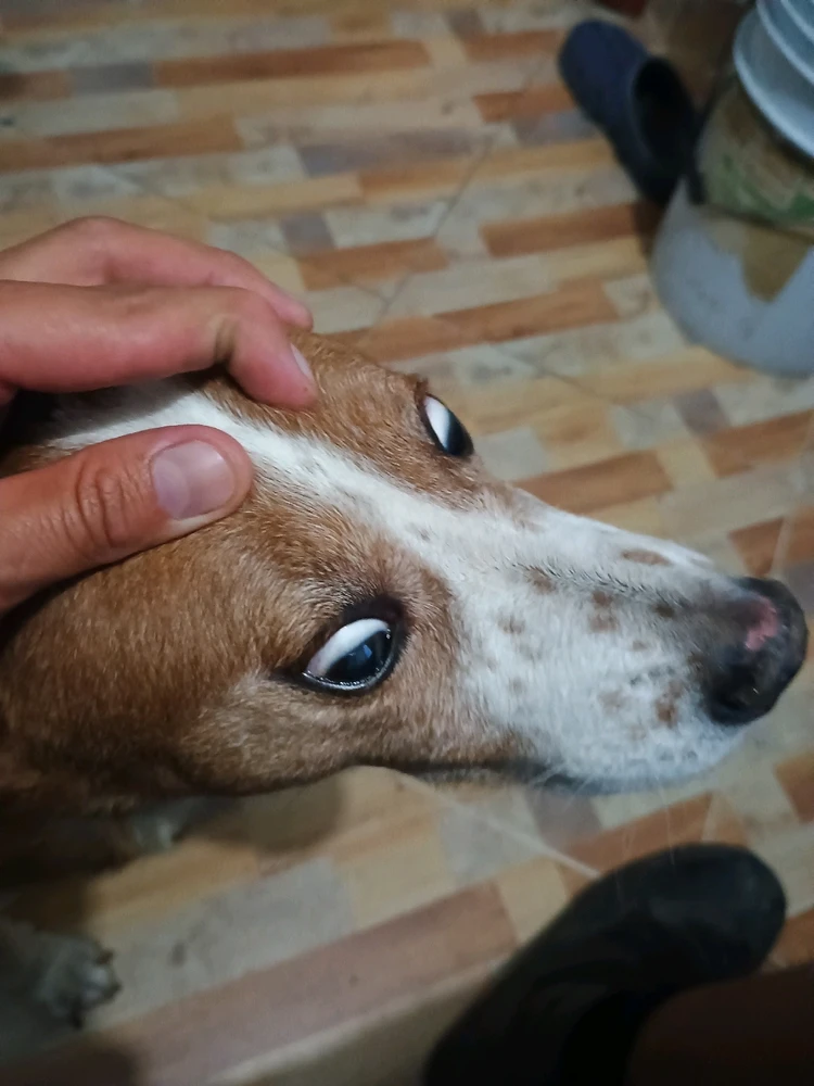 GIF subido por Atzuai