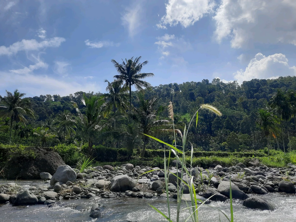 Gambar diunggah oleh Desi