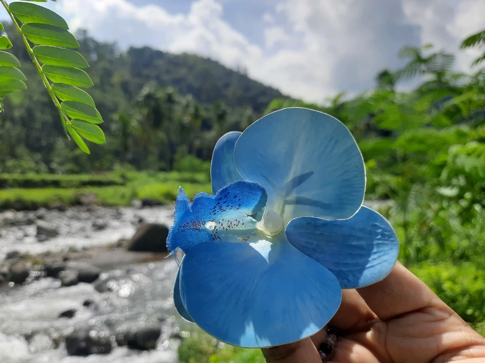 Gambar diunggah oleh Desi