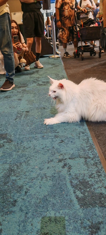 Image uploaded by AA - @InGodWeTrust