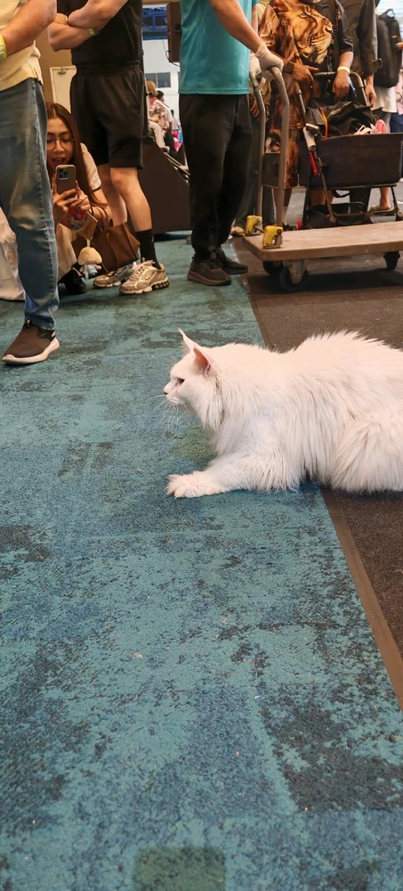 Image uploaded by AA - @InGodWeTrust