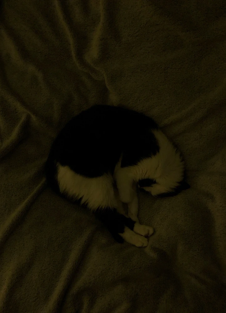 Гіфку завантажив Artem