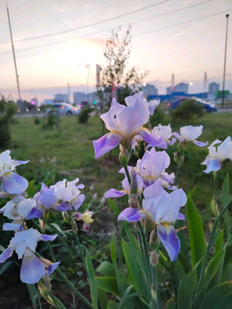 GIF загрузил Дарья