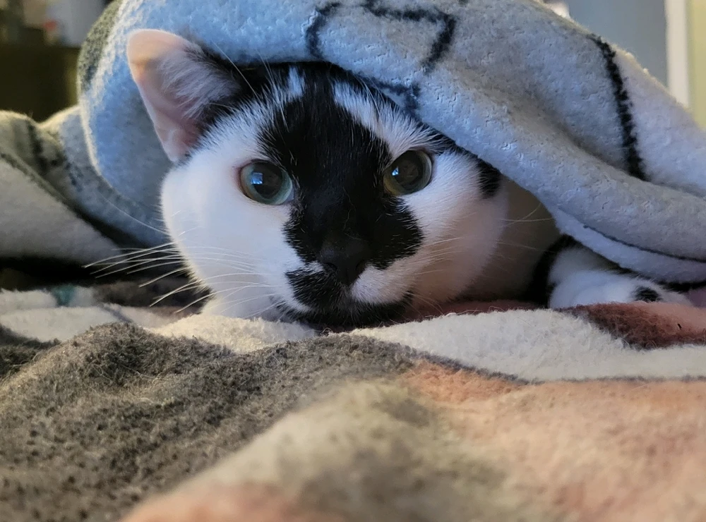 GIF uploaded by Brandi