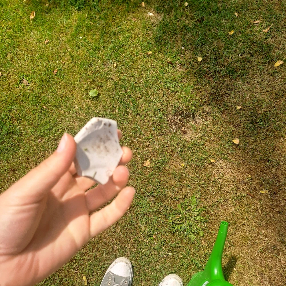 Bild hochgeladen von Sarah