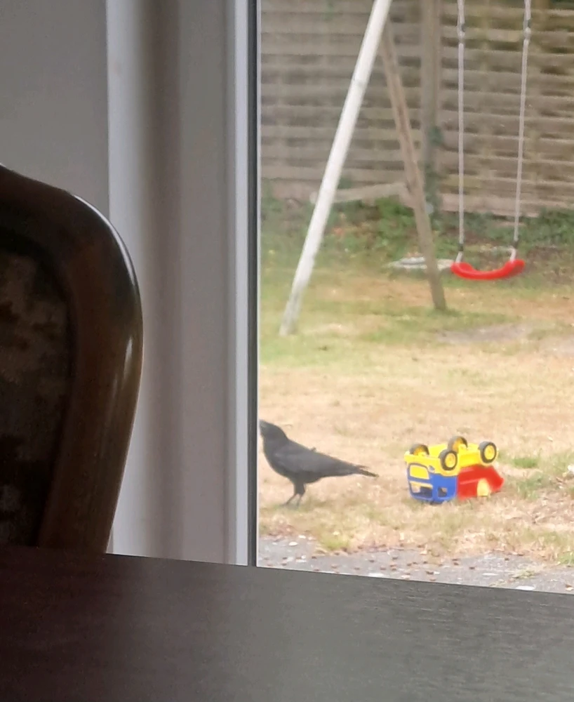 Bild hochgeladen von Sarah