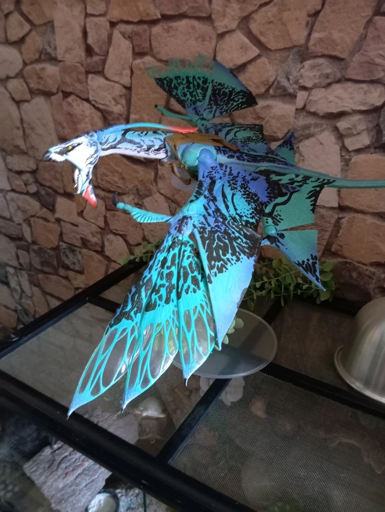 Bild hochgeladen von Danica_NightDream