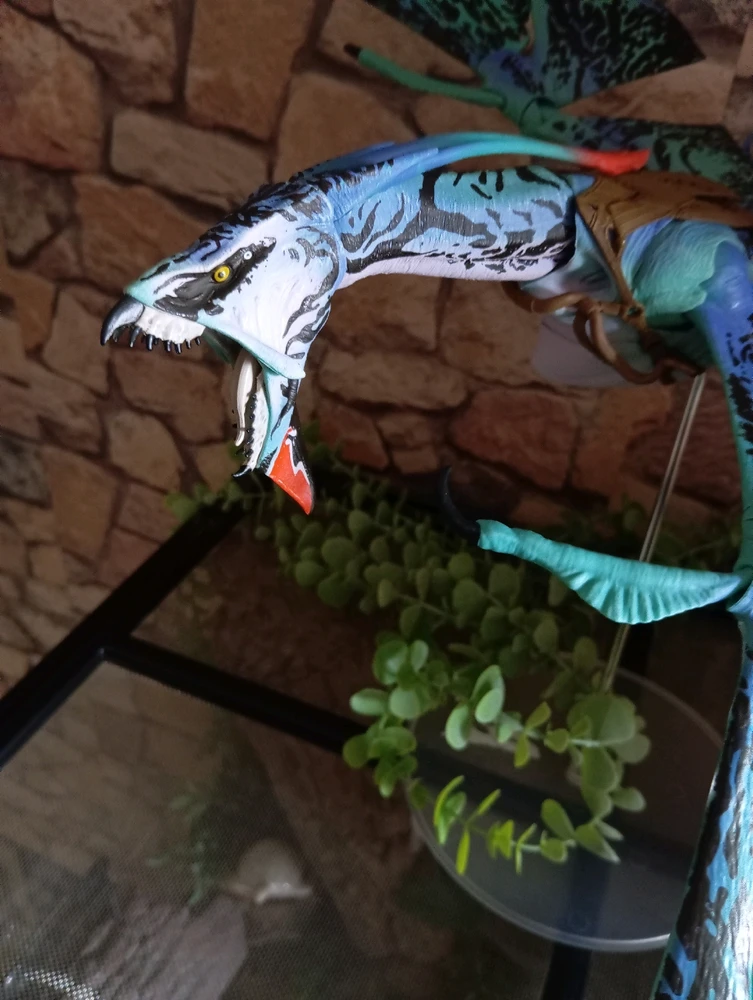 Bild hochgeladen von Danica_NightDream