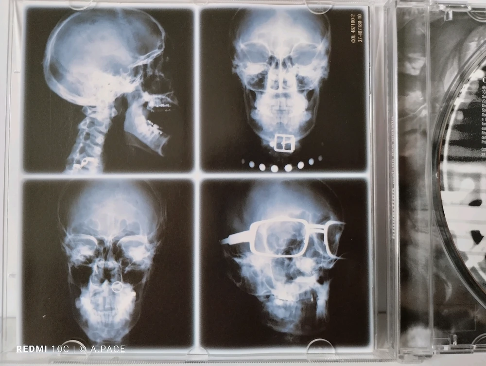 Immagine caricata da Alessandro | alpacigno