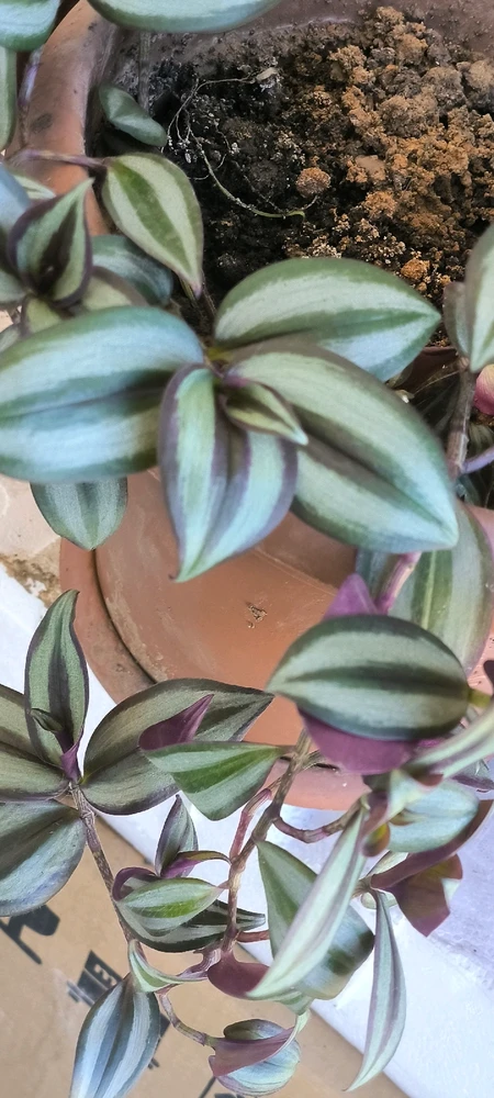 Fatih tarafından yüklenen GIF