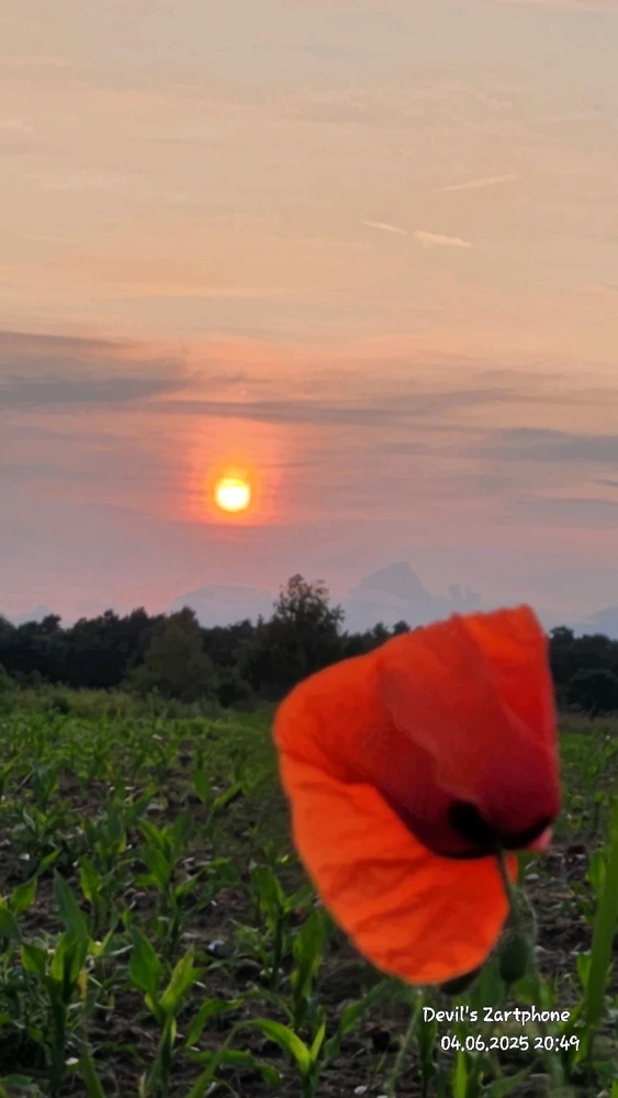 Bild hochgeladen von Devil