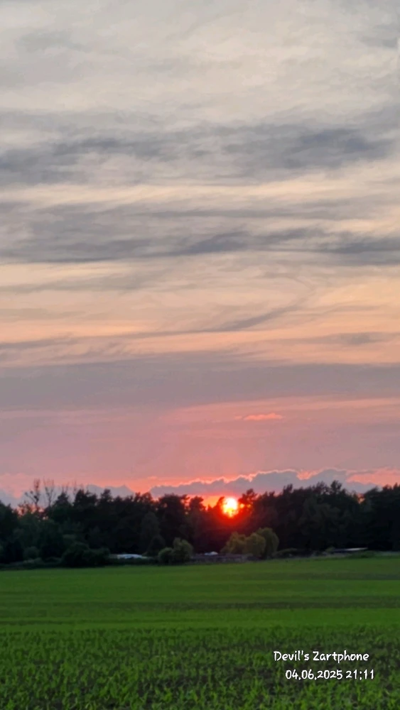 Bild hochgeladen von Devil