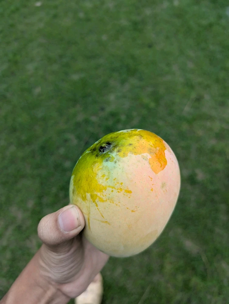 GIF uploaded by Rizwan
