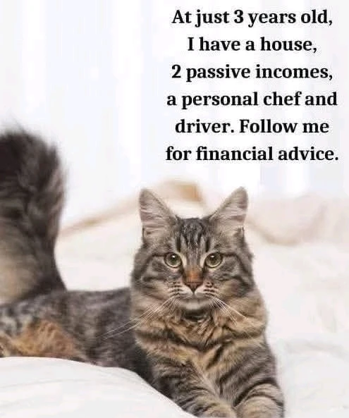 GIF uploaded by Luiz