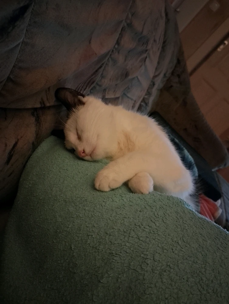 GIF hochgeladen von Mandy