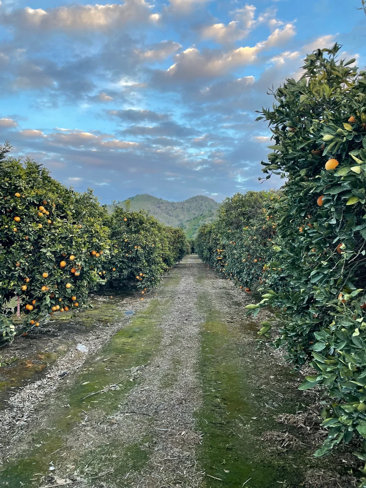 GIF uploaded by Shrinath