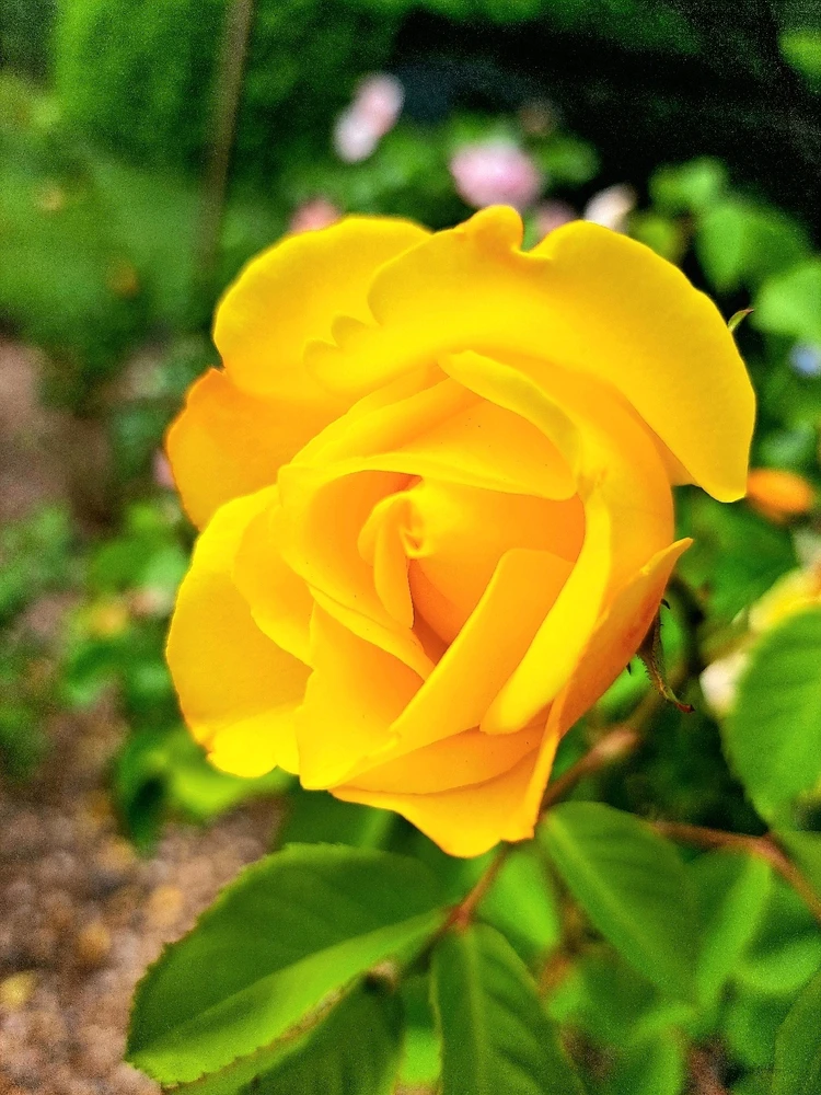 GIF uploaded by JD