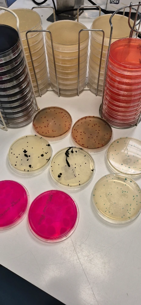 GIF geüpload door Shirley