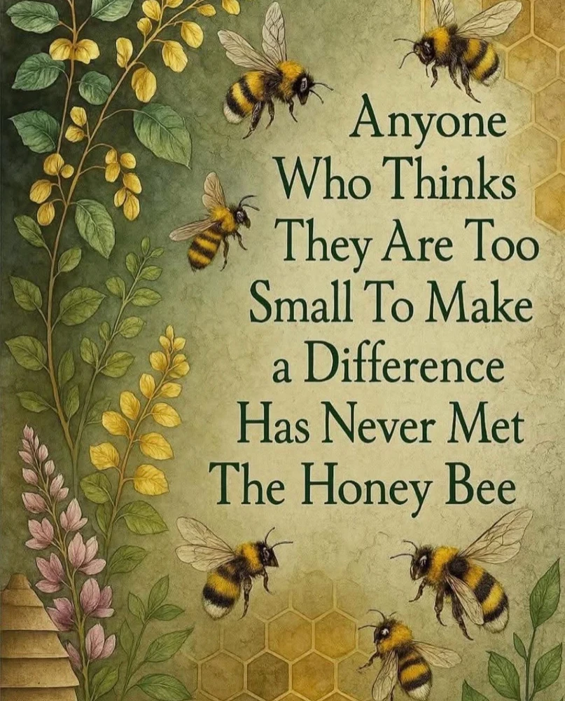 GIF uploaded by Olga