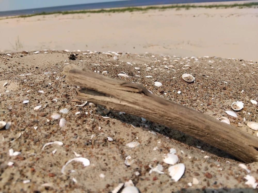 GIF uploaded by Artis