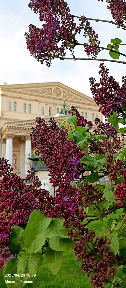 Фото загрузил Кати