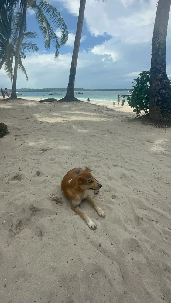 GIF uploaded by Lisa
