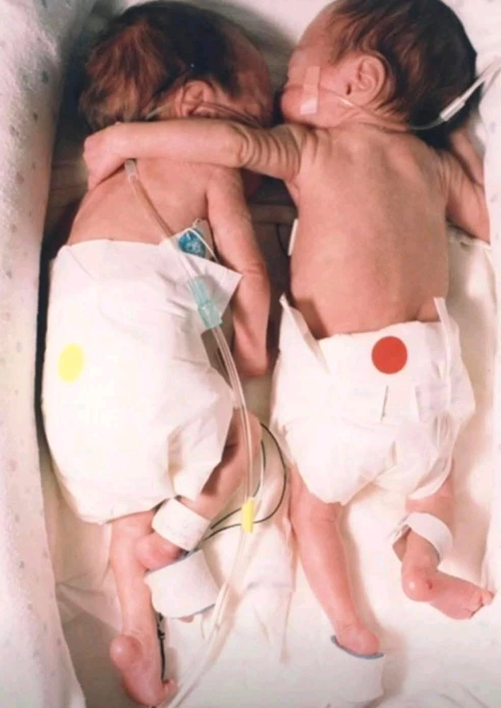 GIF ajouté par ૮h૨เรtσρhε™