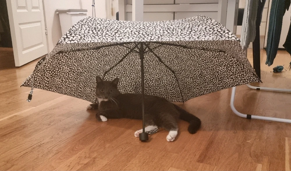 GIF uploaded by Frida