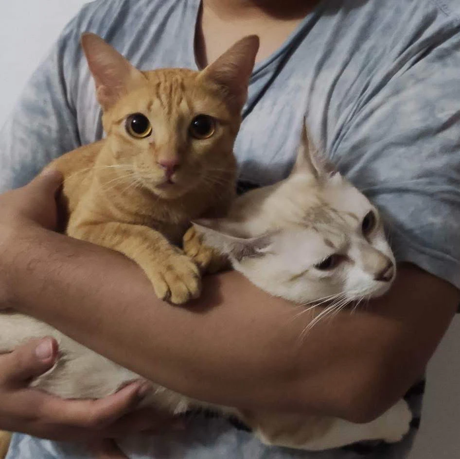 GIF uploaded by Lloyd Benhur