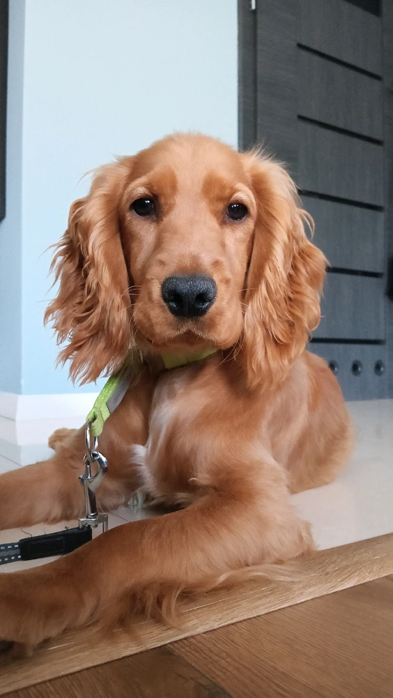 GIF dodany przez Klaudia (Kala)