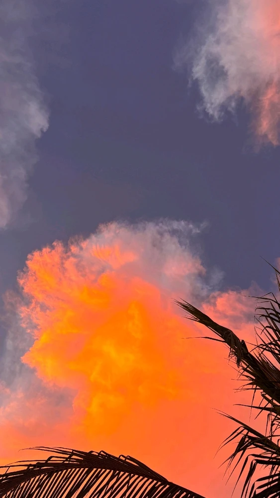 Gambar diunggah oleh Regita