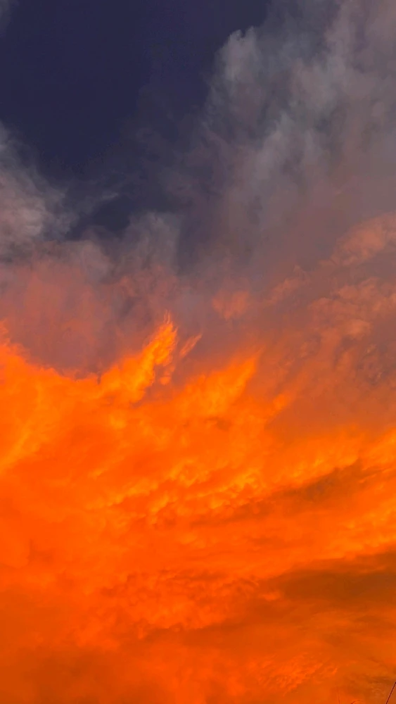 Gambar diunggah oleh Regita