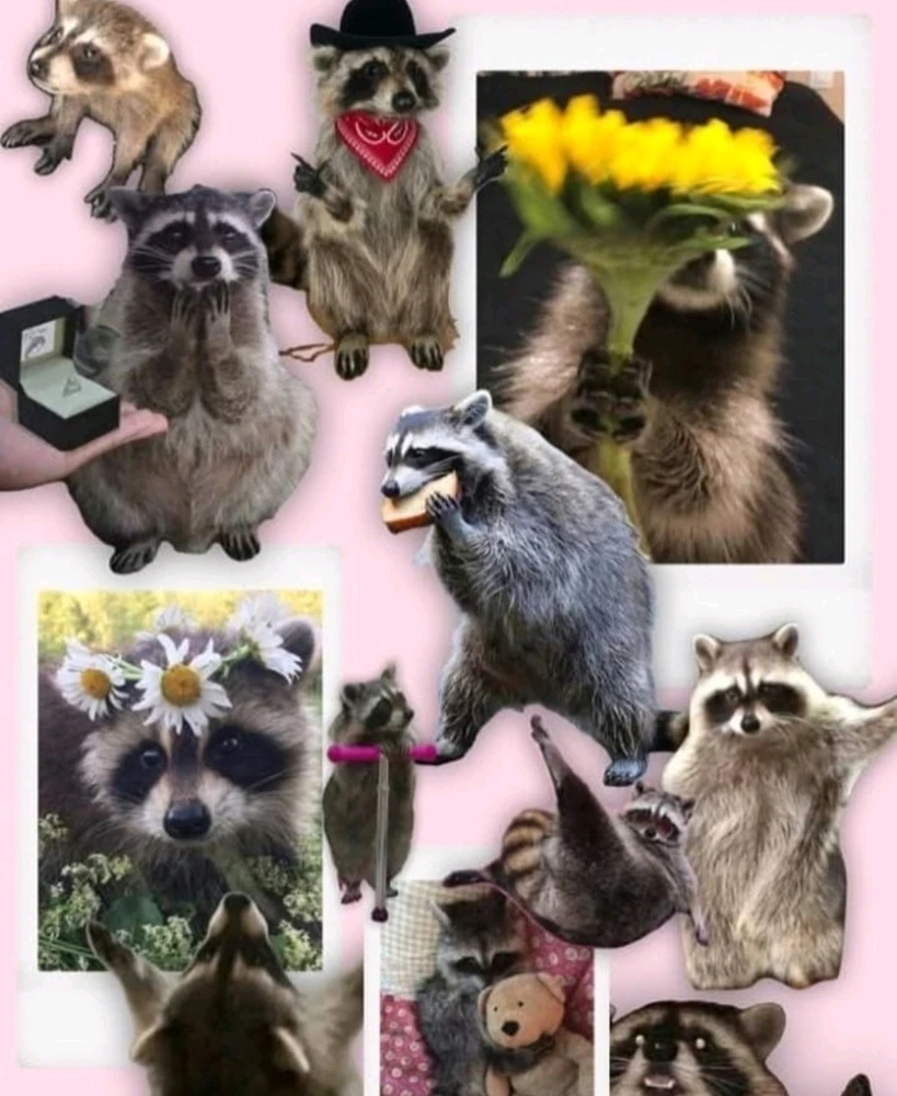 Image uploaded by 🔆🥨🔅Koffy🔅🌰🔆