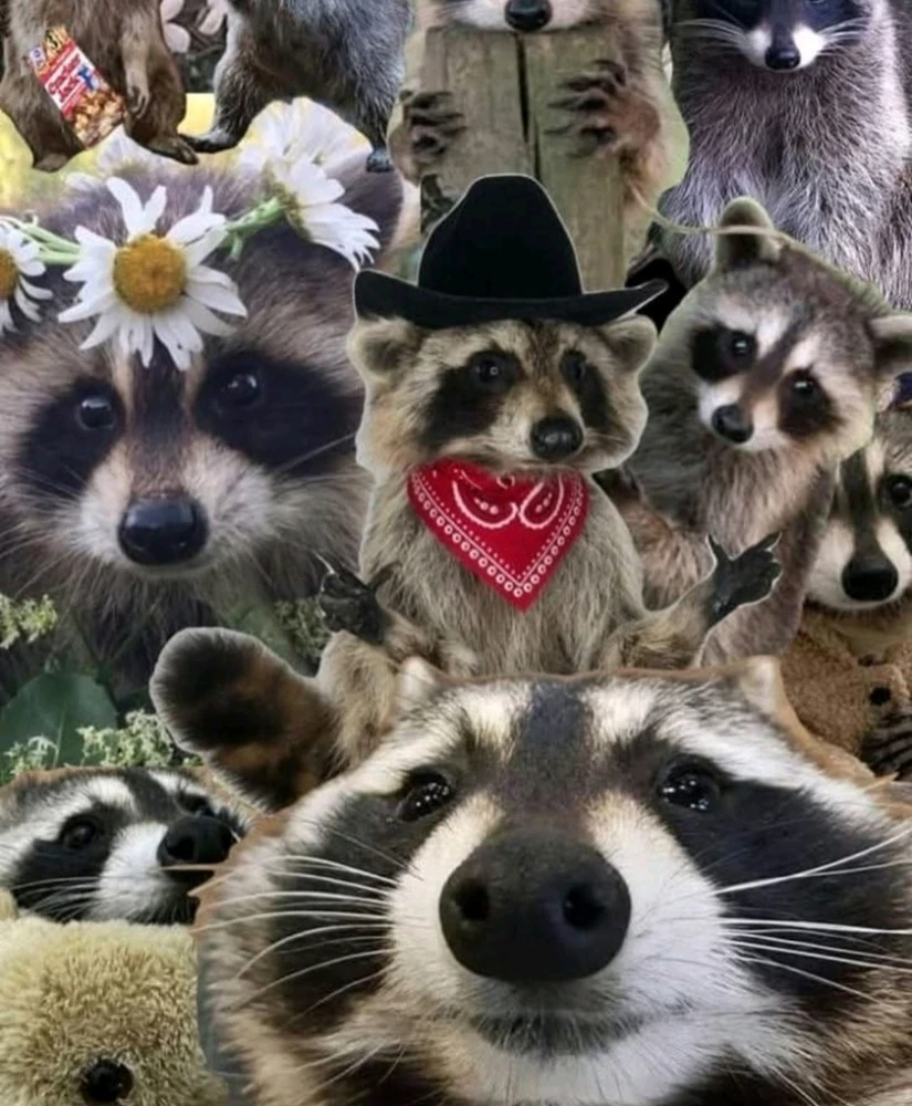 Image uploaded by 🔆🥨🔅Koffy🔅🌰🔆