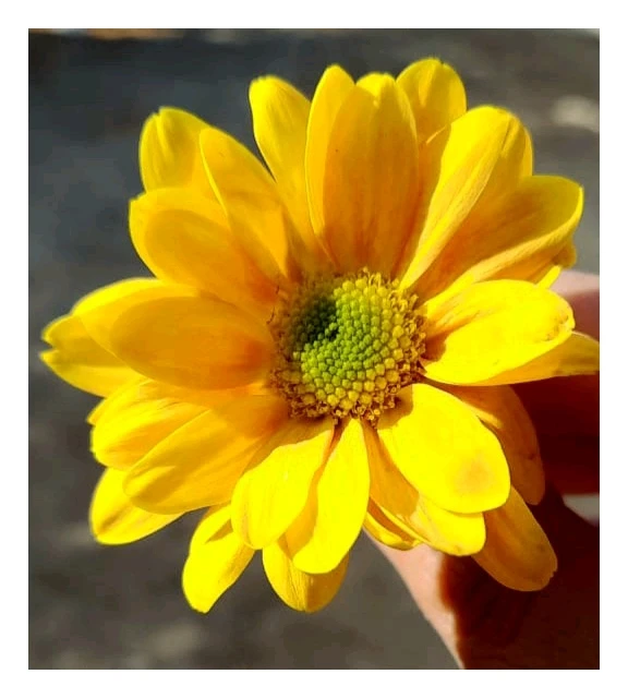 GIF subido por Blanca