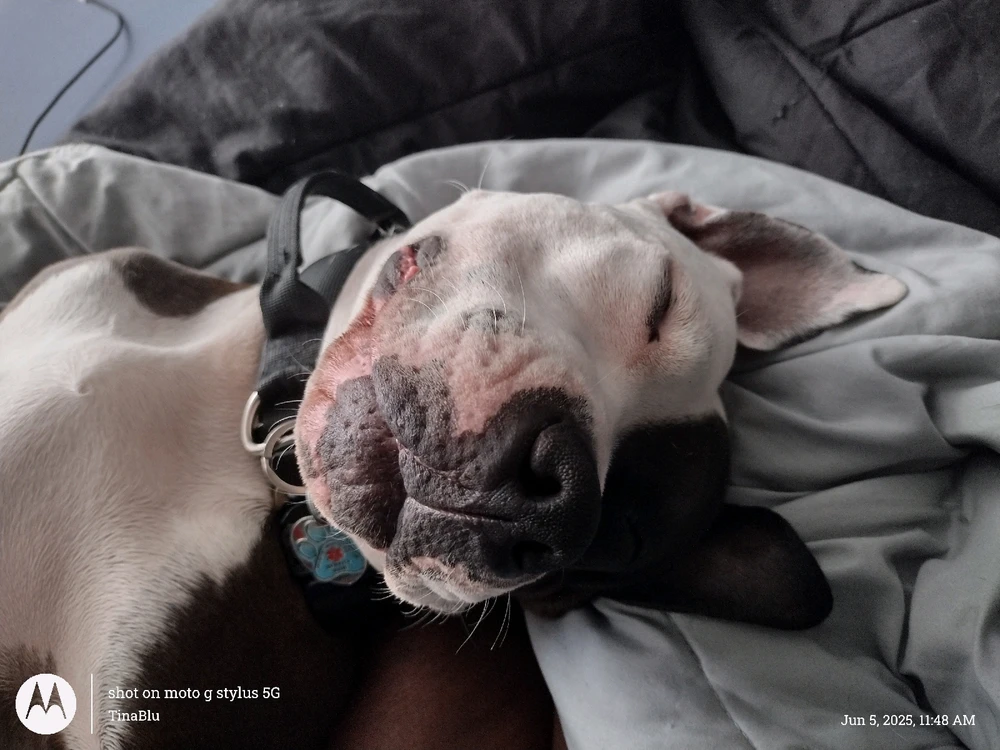 Image uploaded by Tina