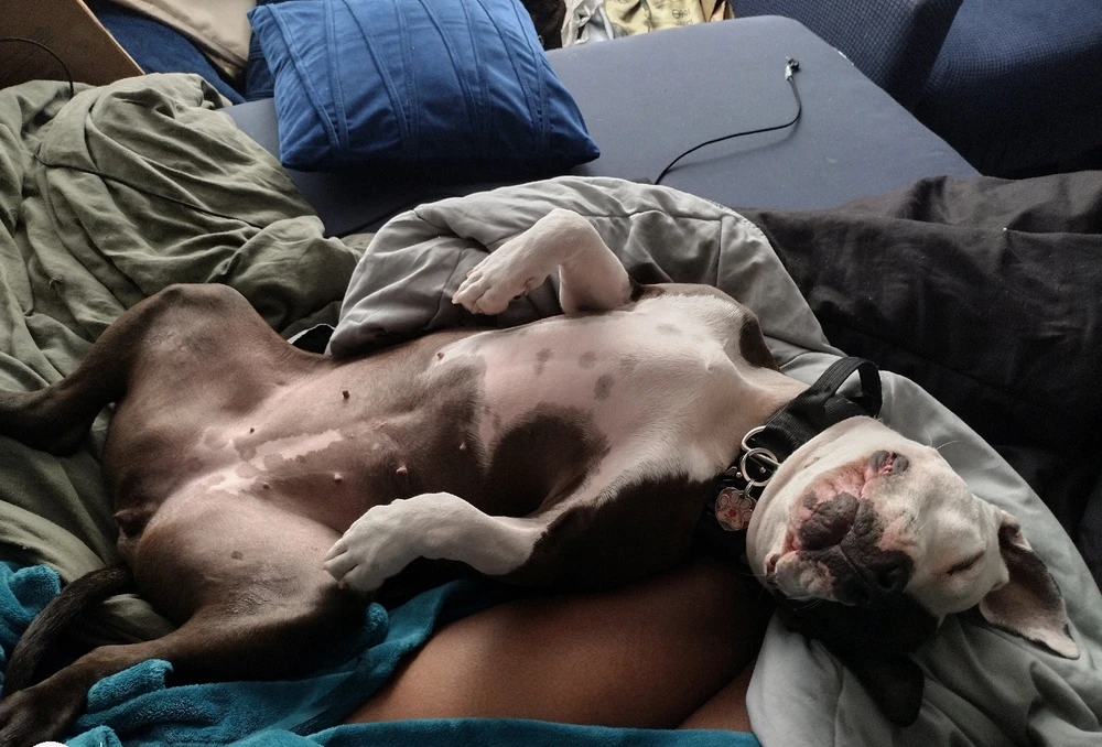 Image uploaded by Tina