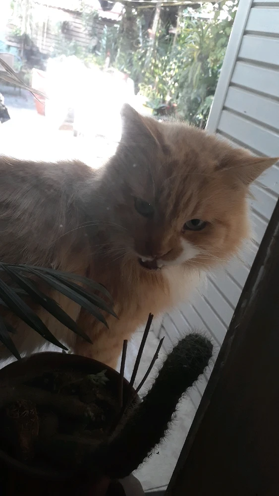 GIF subido por Joaquín