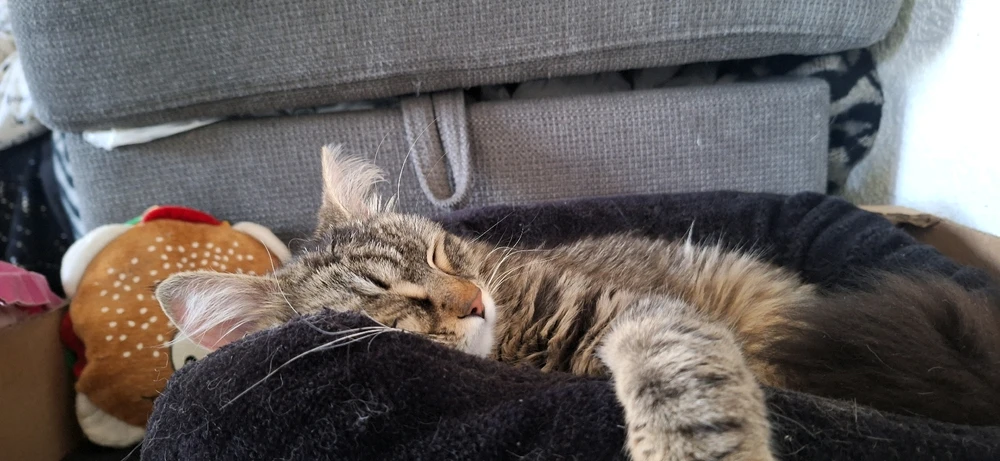 Image ajoutée par Yonis