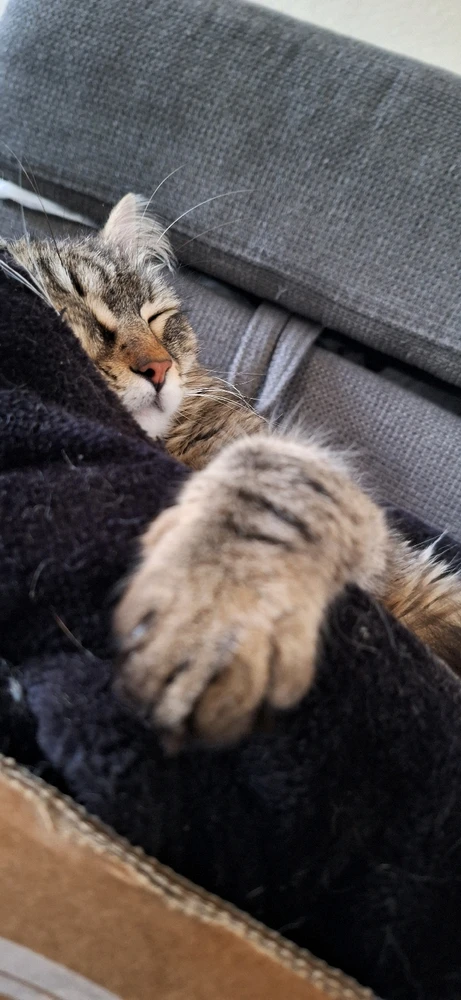 Image ajoutée par Yonis