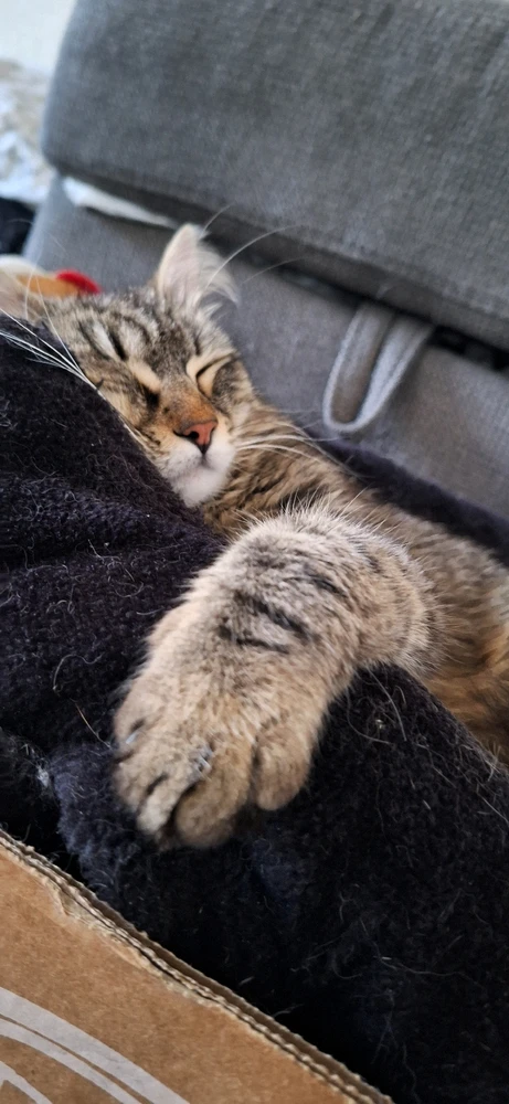 Image ajoutée par Yonis