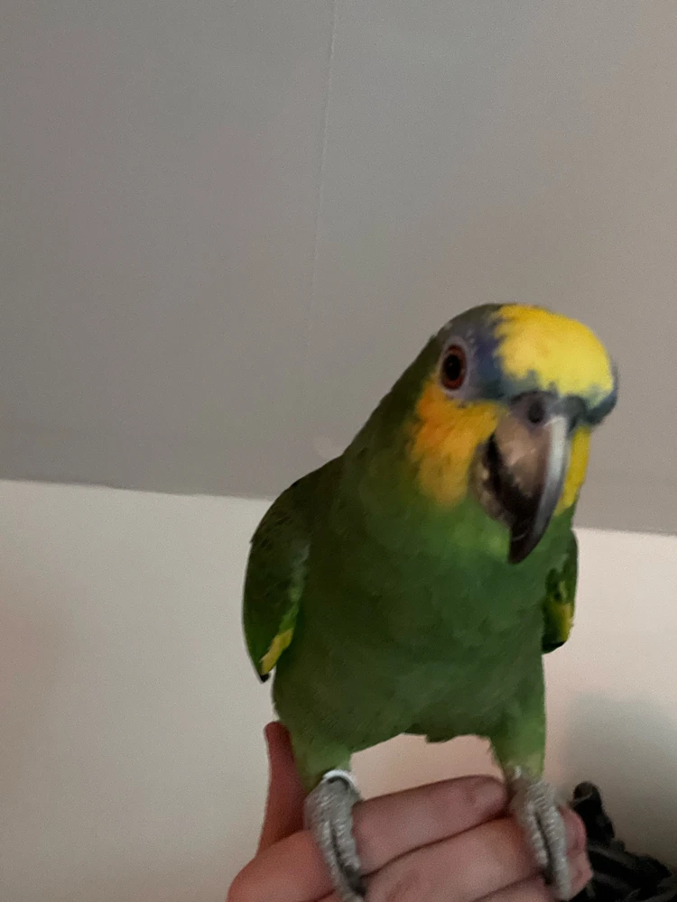 GIF uploadet af Christian