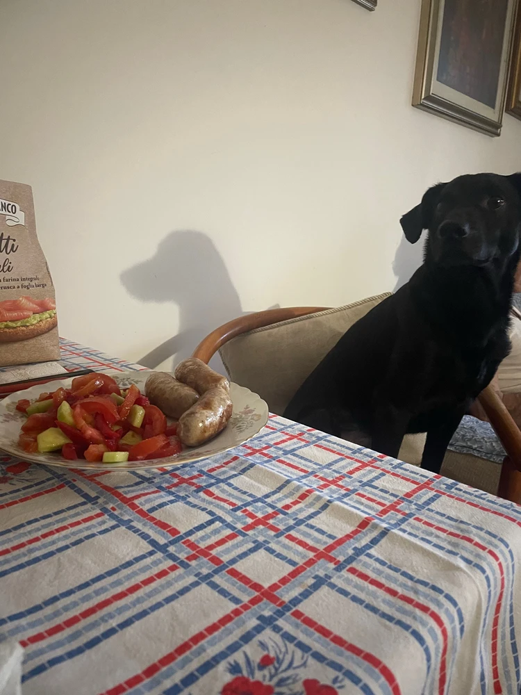 Immagine caricata da Anastasiya ִֶָ𓂃 ࣪˖ ִֶָ🐇་༘࿐