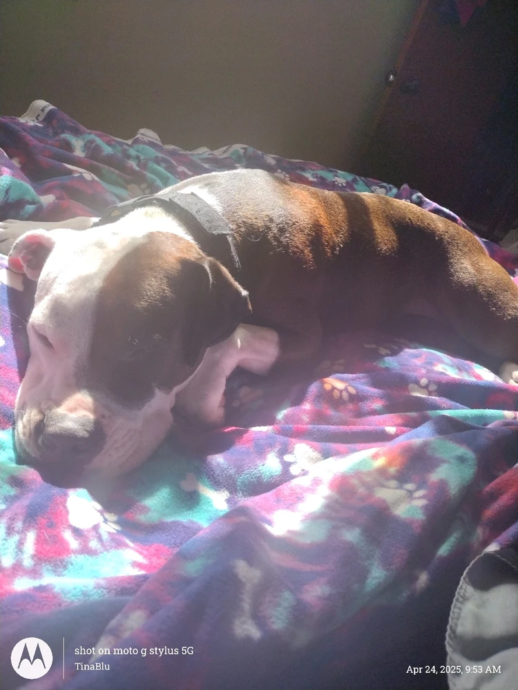 Image uploaded by Tina