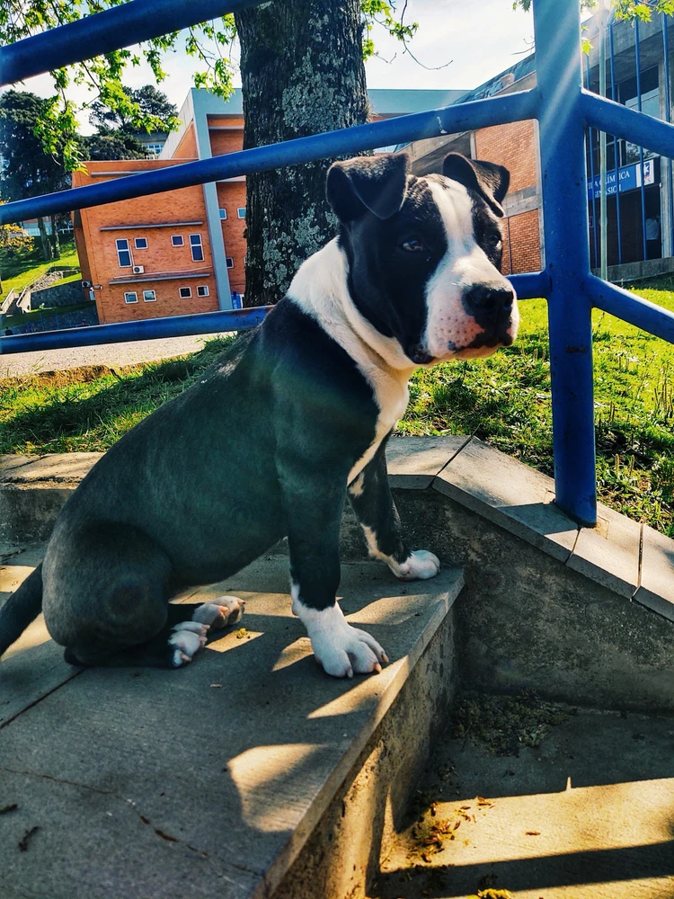 GIF dodany przez Alceu