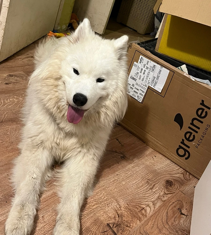 GIF uploaded by Justyna