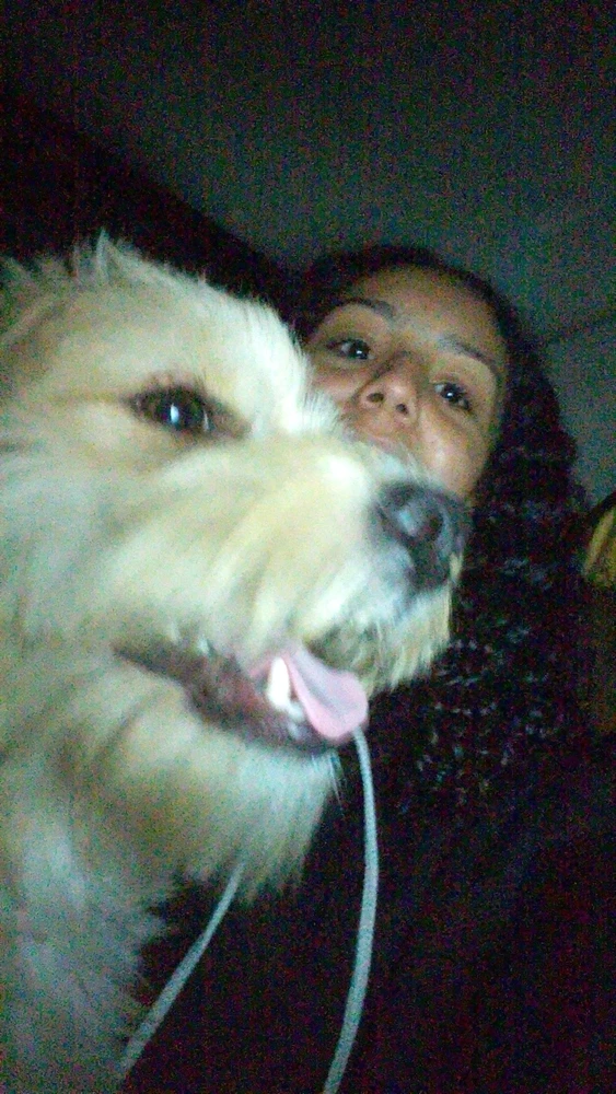 GIF enviado por Isabella Capistrano Gonçalves