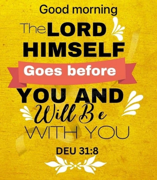 GIF uploaded by Isabel