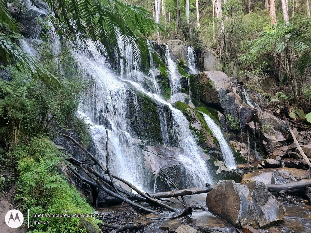 Image uploaded by Brock.A